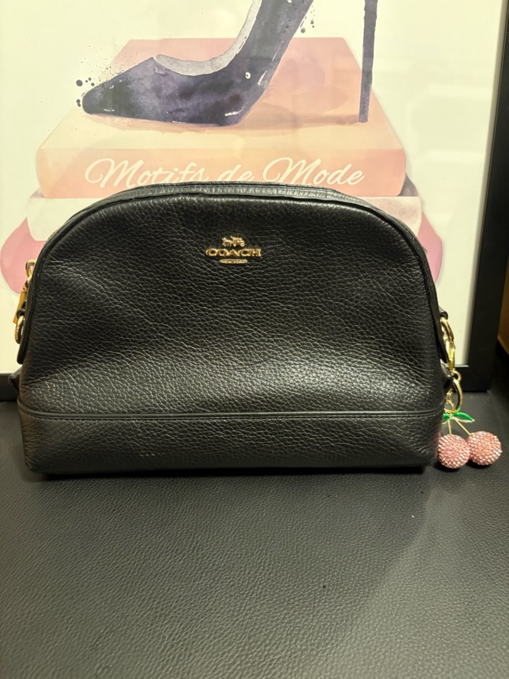 Coach Black Pebbled Leather Dome Cosmetic Pouch with Gold Hardware
